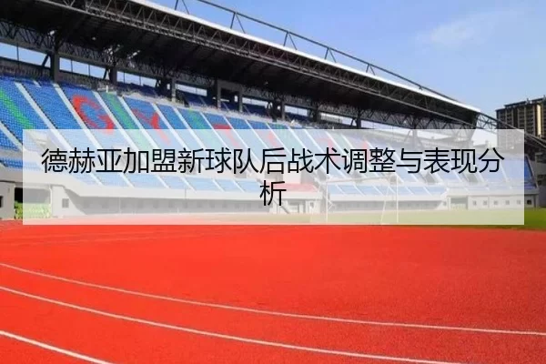 德赫亚加盟新球队后战术调整与表现分析